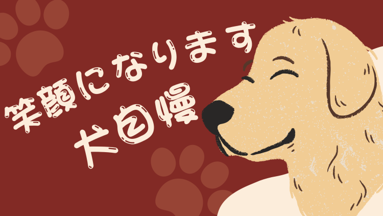笑顔になります　犬自慢